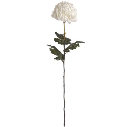 Large White Chrysanthemum-Per Stem