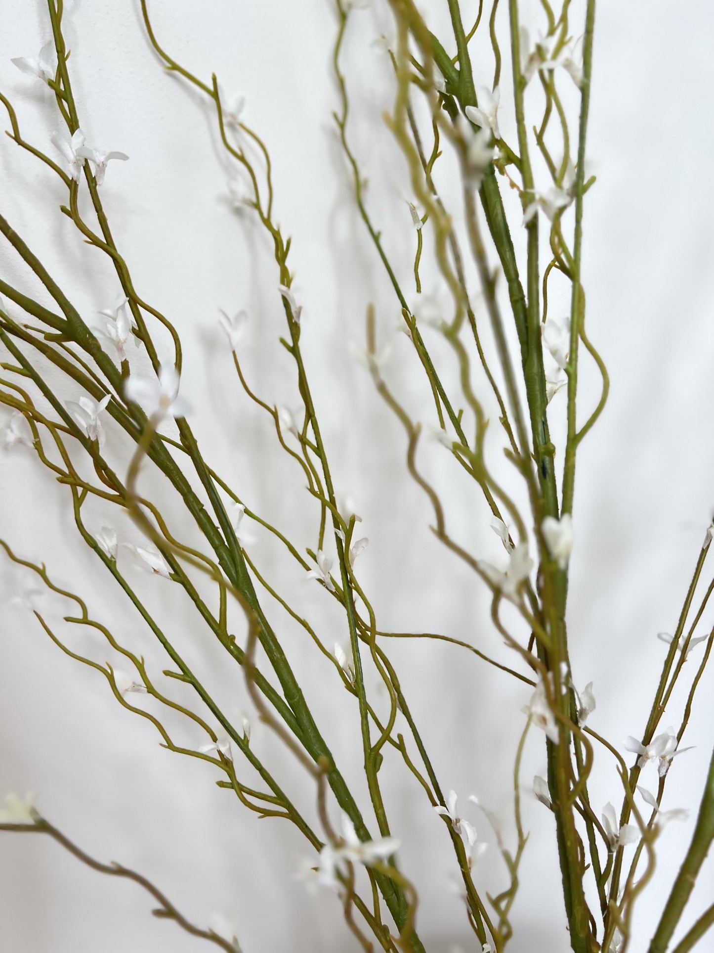 White Willow Spray-Per Stem